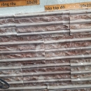 Bão Táp Đỏ 10x20
